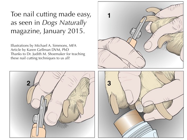 How to cut a deals dog's toenails